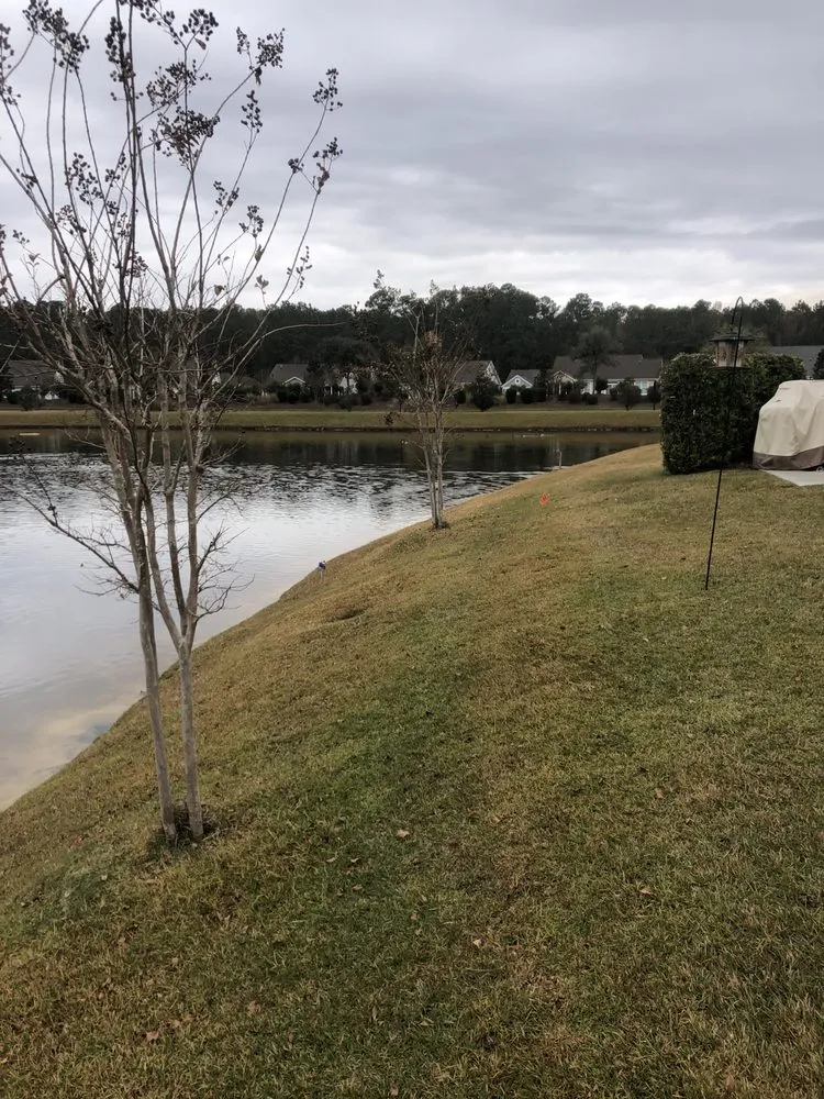 Expert yard maintenance for year-round maintenance across Ash, NC - Drake Scapes