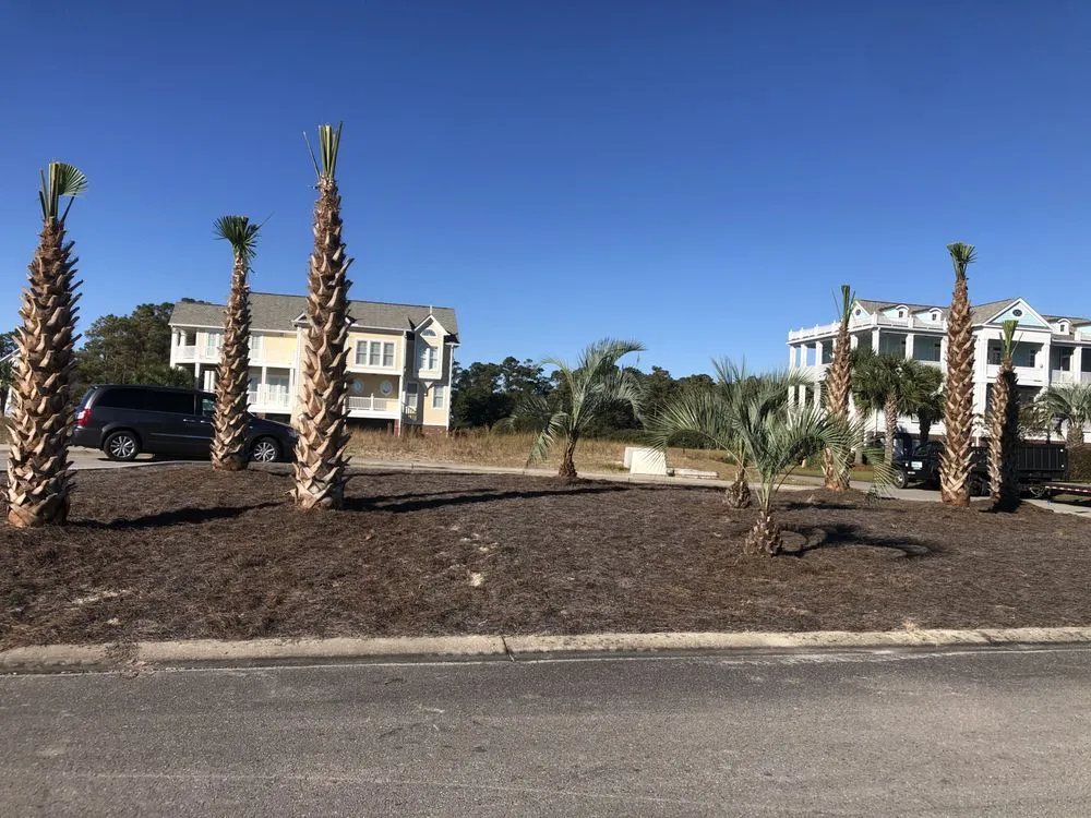 Reliable landscape design in Ash, NC - Drake Scapes