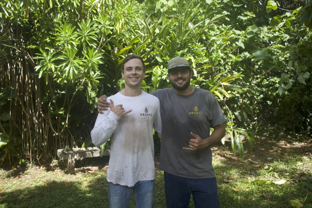 Affordable yard cleanup service in Kailua, HI by Drake's Lawn & Garden