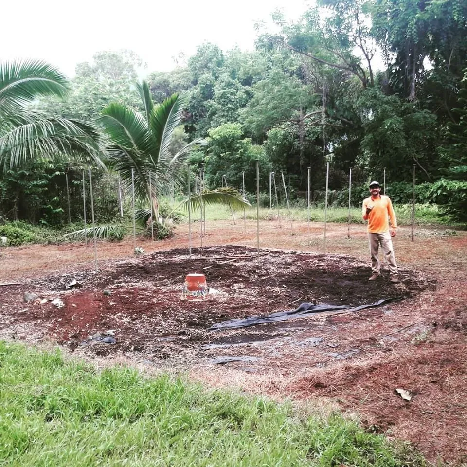 Expert garden landscaping experts serving Kailua, HI - Drake's Lawn & Garden