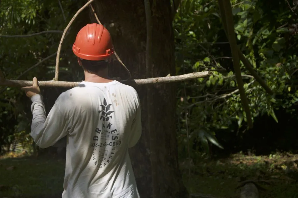 Reliable landscape design for homes across Kailua, HI - Drake's Lawn & Garden