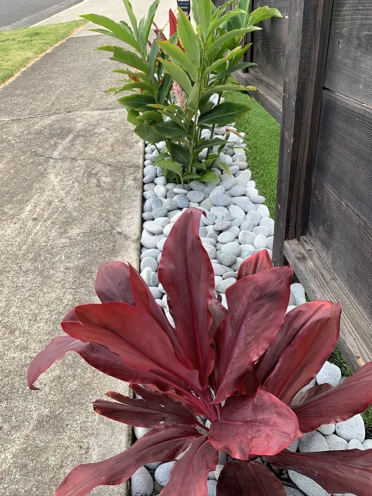 Reliable lawn mowing service in Kailua, HI - Drake's Lawn & Garden