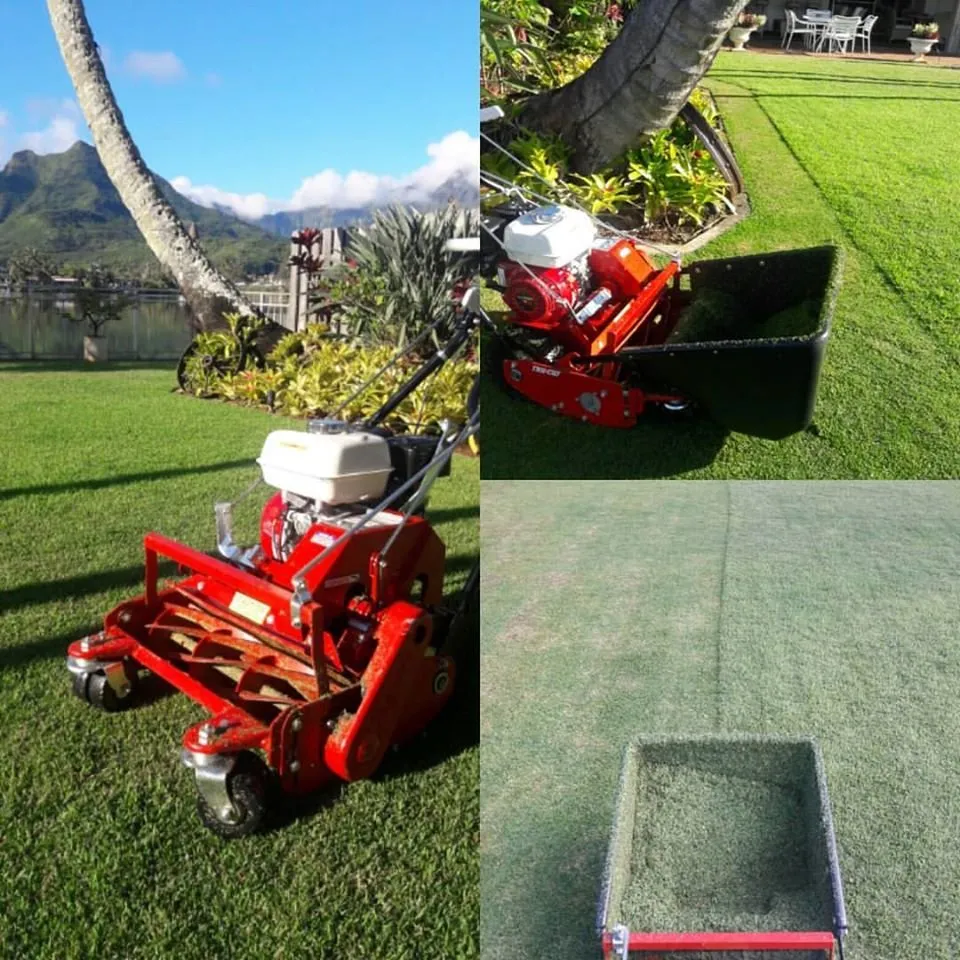 Affordable landscape installation in Kailua, HI - Drake's Lawn & Garden