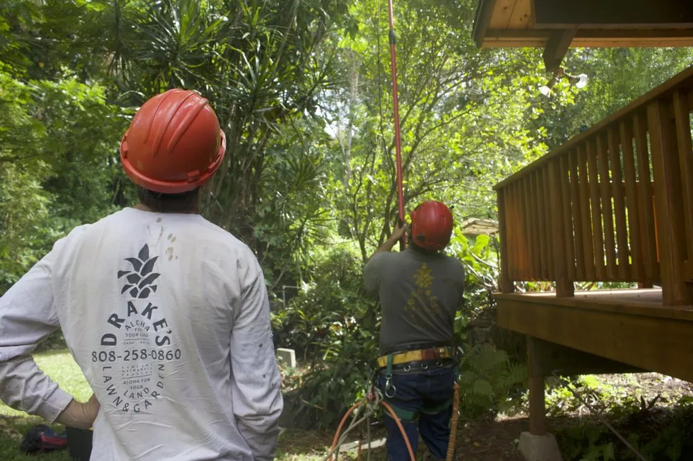 Reliable landscape design experts serving Kailua, HI - Drake's Lawn & Garden