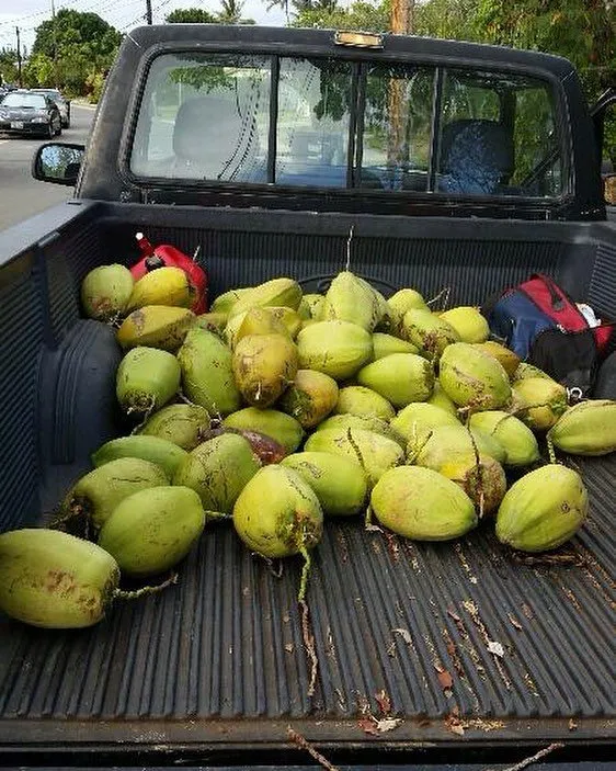 Trusted residential landscaping experts serving Kailua, HI - Drake's Lawn & Garden