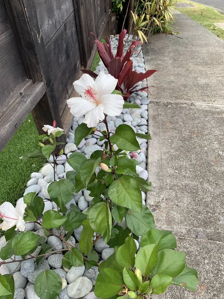 Local landscape installation for homes in Kailua, HI by Drake's Lawn & Garden
