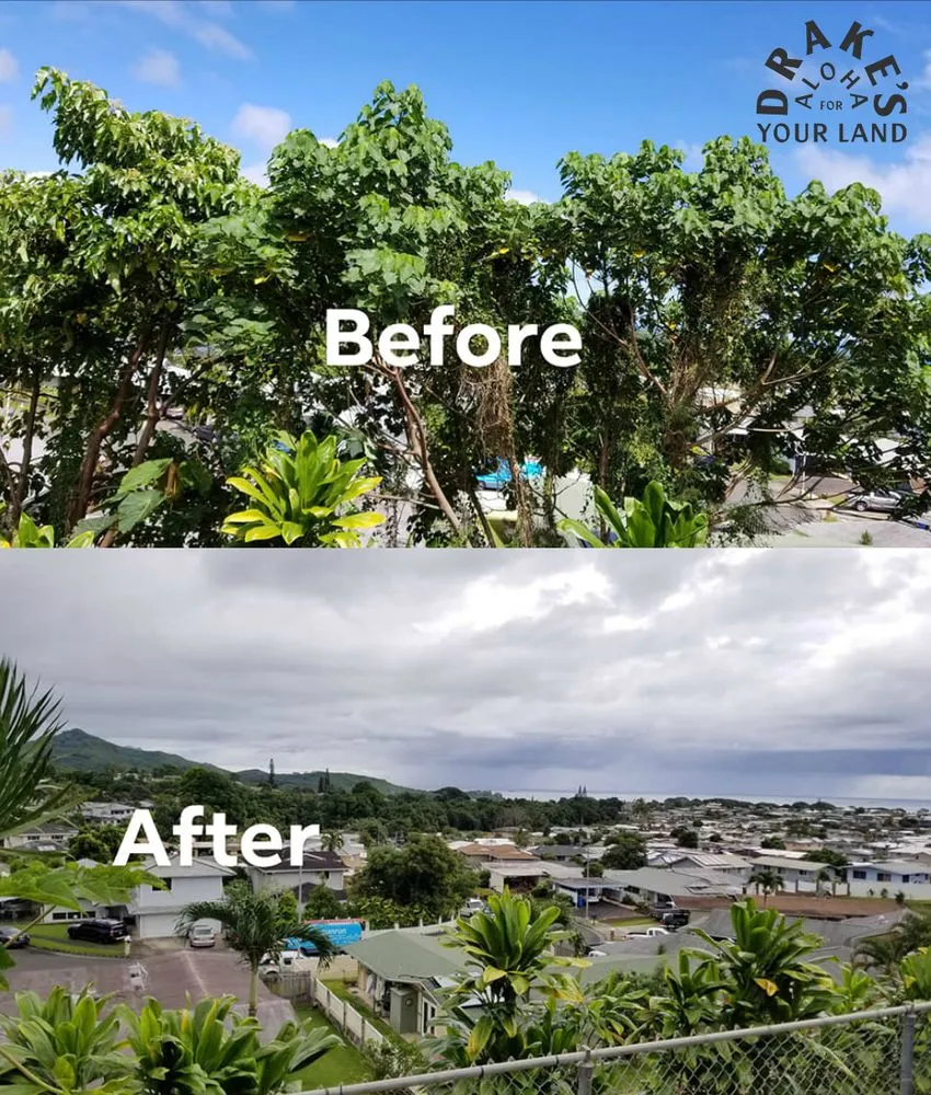 Reliable landscaping services for outdoor upgrades across Kailua, HI - Drake's Lawn & Garden