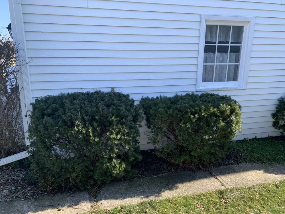 Trusted yard maintenance in Elyria, OH - Drake’s Lawn Service’s