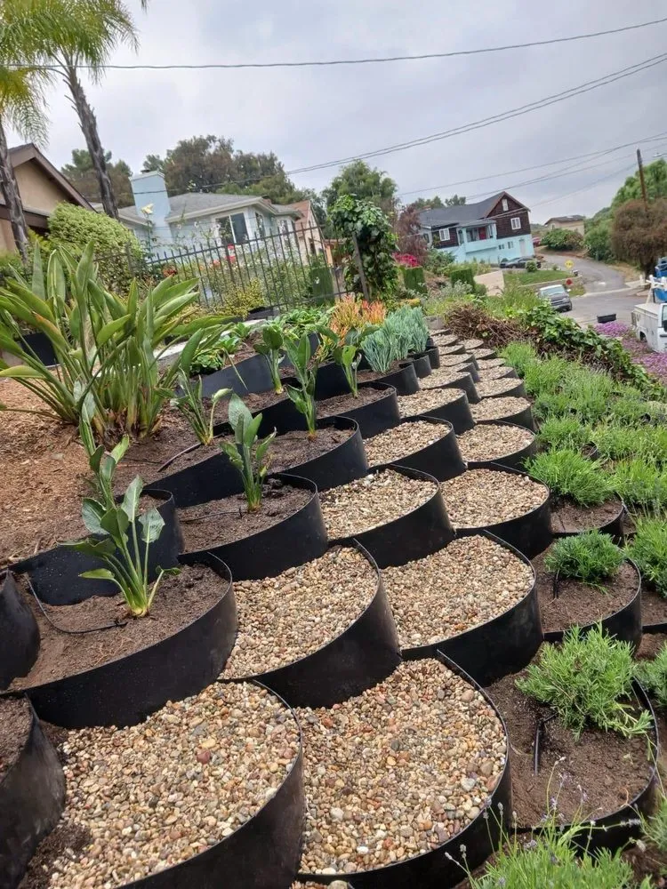 Custom residential landscaping in Santa Clarita, CA by Dramatic Landscaping