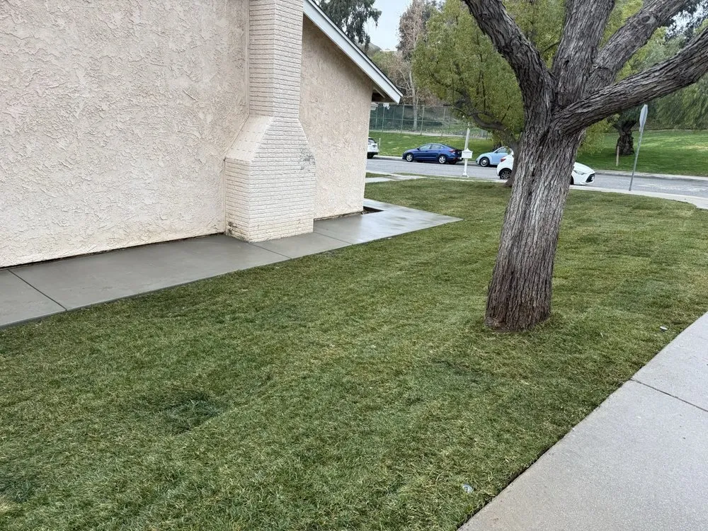 Top-rated landscape design in Santa Clarita, CA - Dramatic Landscaping