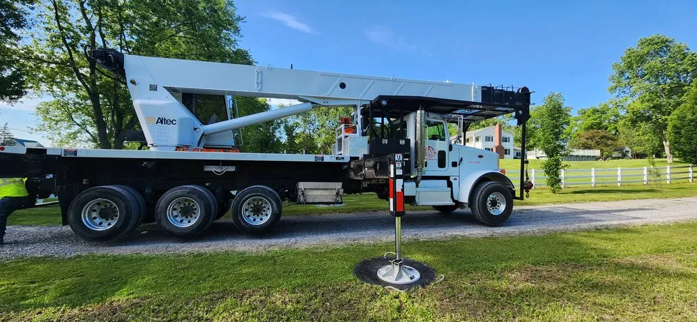 Professional yard cleanup service for beautiful yards across Darien Center, NY - Draves Tree Service