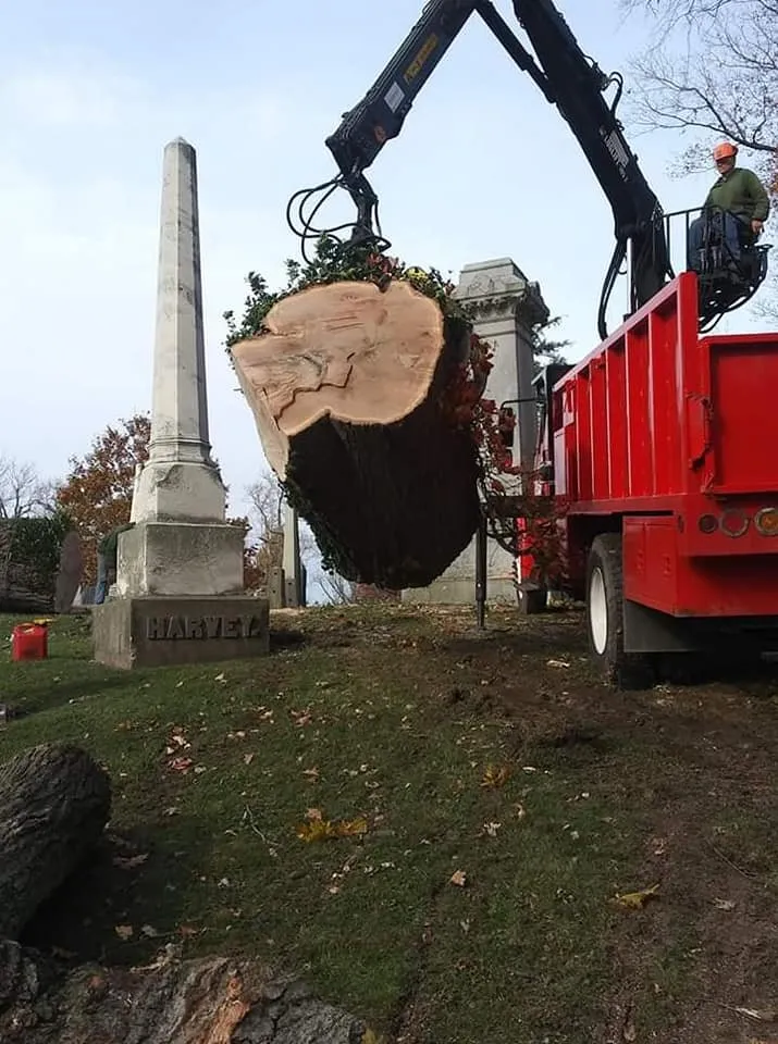 Reliable outdoor landscaping for outdoor upgrades across Darien Center, NY - Draves Tree Service