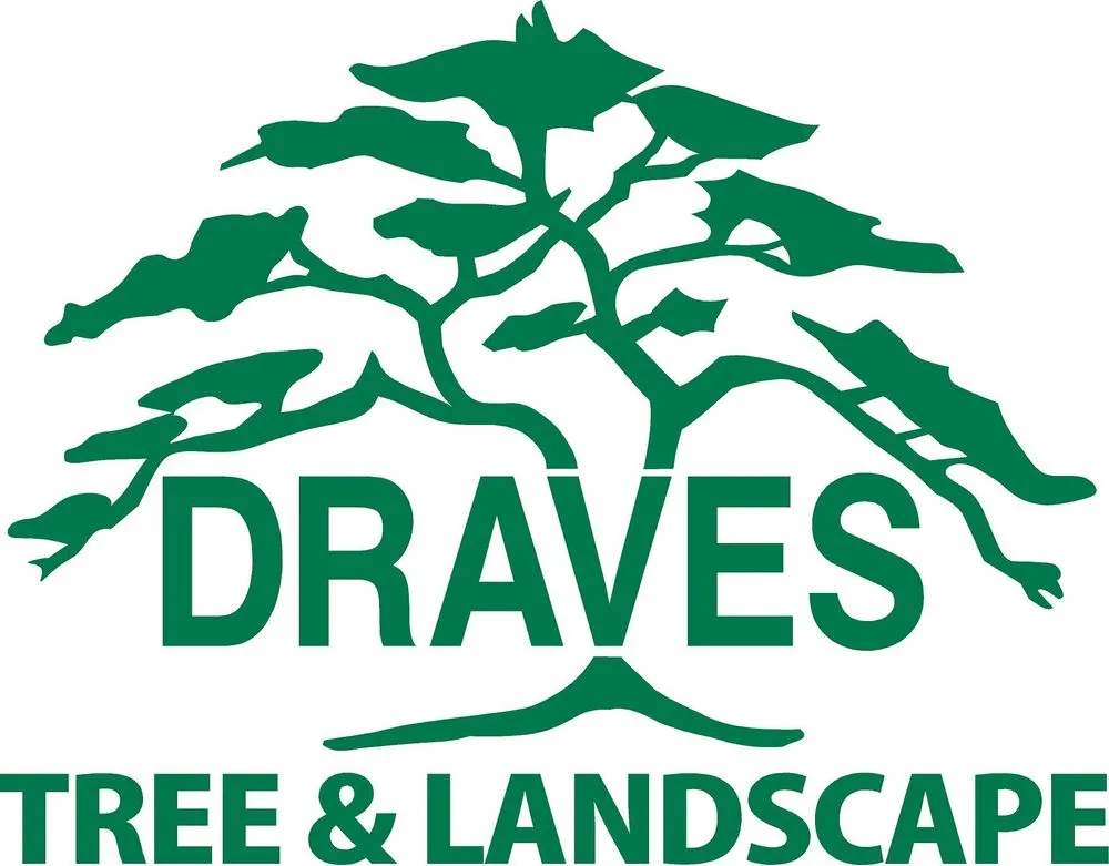 Top-rated landscaping services for beautiful yards across Darien Center, NY - Draves Tree Service