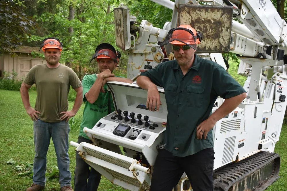 Expert lawn mowing service for homes across Darien Center, NY - Draves Tree Service