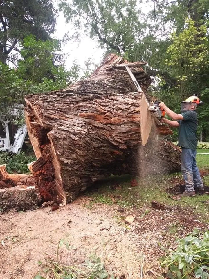 Professional garden landscaping experts serving Darien Center, NY - Draves Tree Service