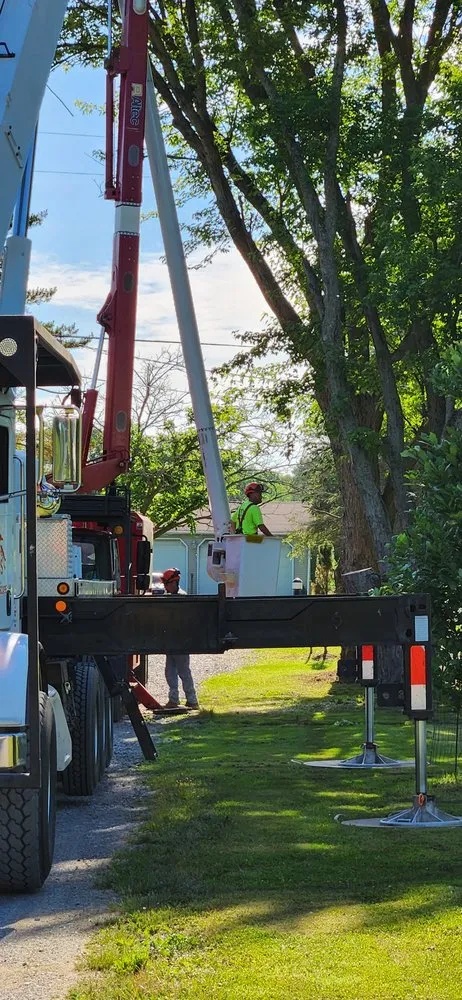 Custom outdoor landscaping experts serving Darien Center, NY - Draves Tree Service