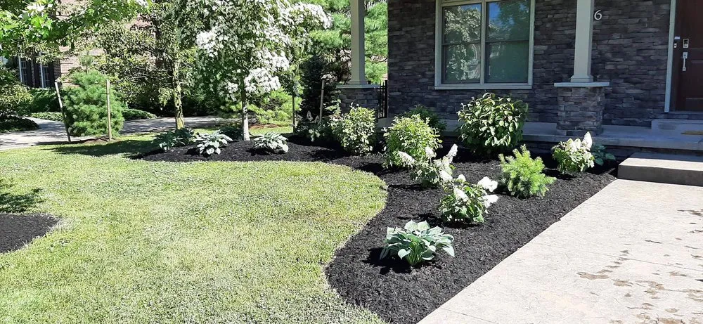 Reliable residential landscaping experts serving Darien Center, NY - Draves Tree Service
