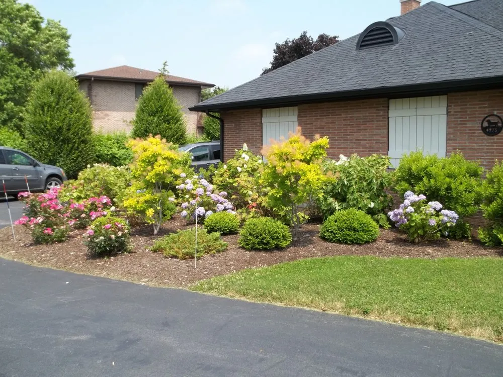 Professional yard cleanup service for beautiful yards in Darien Center, NY by Draves Tree Service