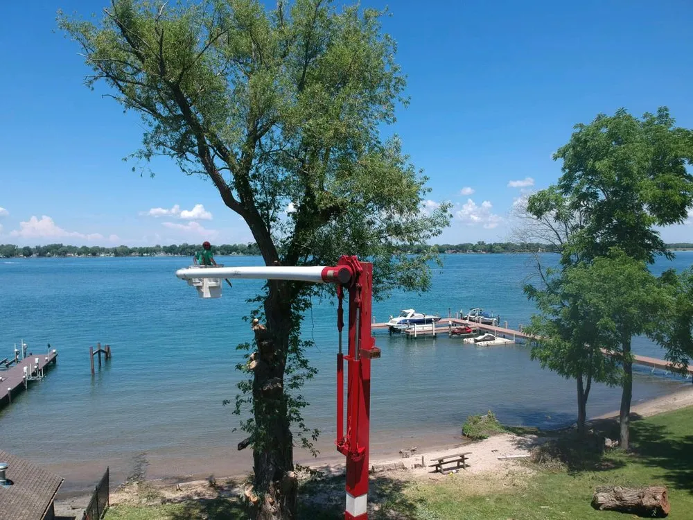 Custom yard maintenance experts serving Darien Center, NY - Draves Tree Service