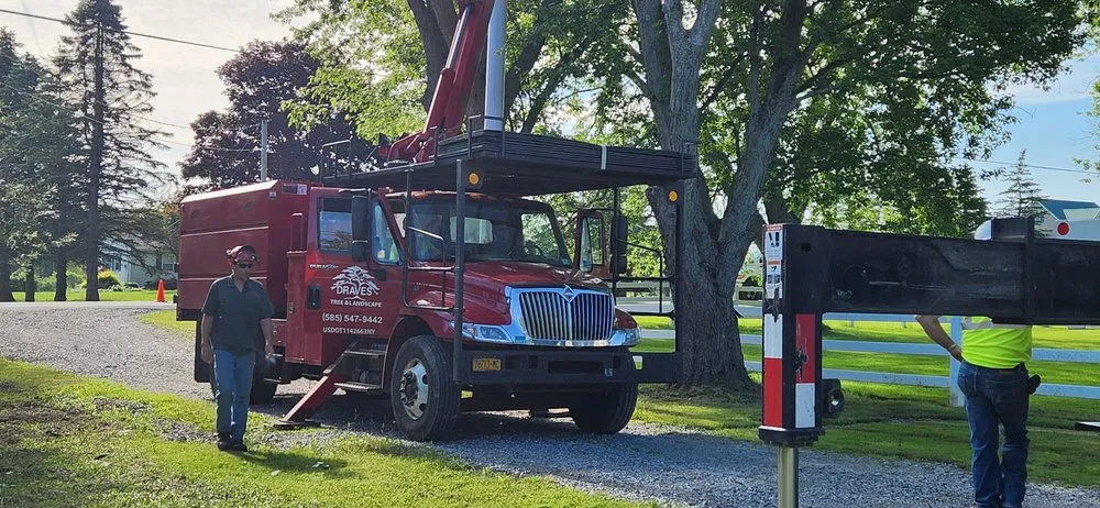 Professional garden landscaping in Darien Center, NY - Draves Tree Service