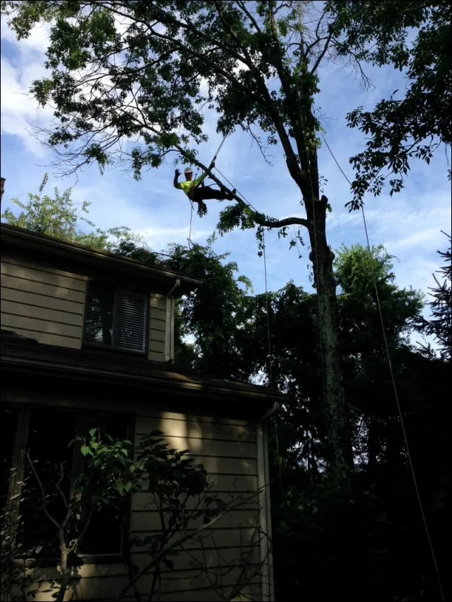 Custom landscape installation in Green Brook Township, NJ by DRB Enterprise Corp