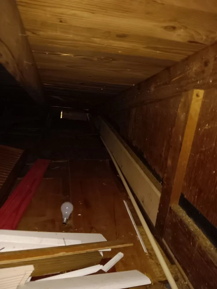 Professional lawn care service experts serving Kenner, LA - DRB