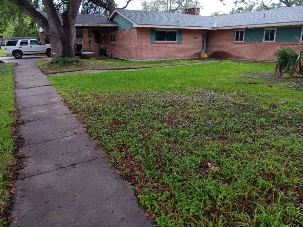 Professional yard maintenance with custom design across Kenner, LA - DRB