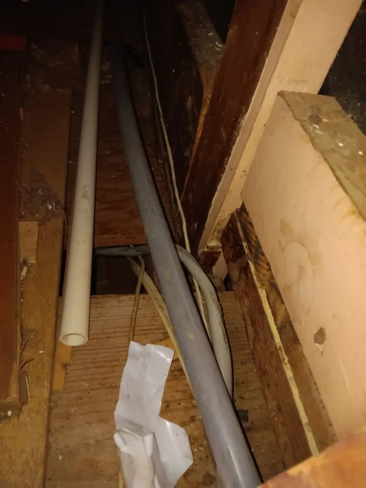 Trusted outdoor landscaping in Kenner, LA - DRB