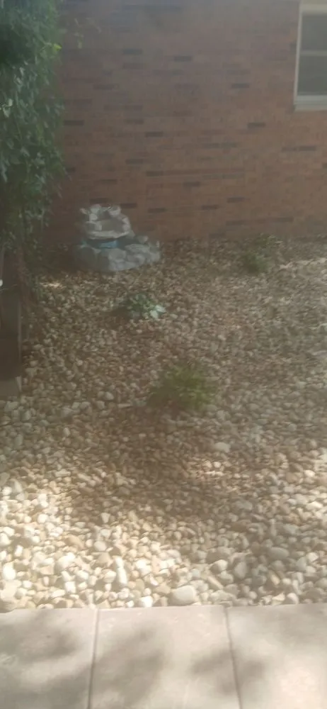 Trusted residential landscaping for year-round maintenance across Dieterich, IL - Drbs Do It All