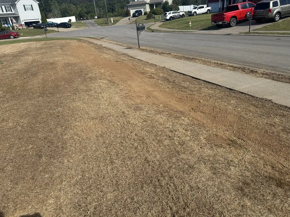 Reliable lawn mowing service in Murfreesboro, TN - Dr.D's Lawn Care