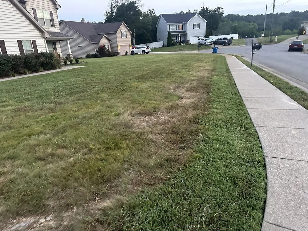 Local lawn mowing service in Murfreesboro, TN by Dr.D's Lawn Care