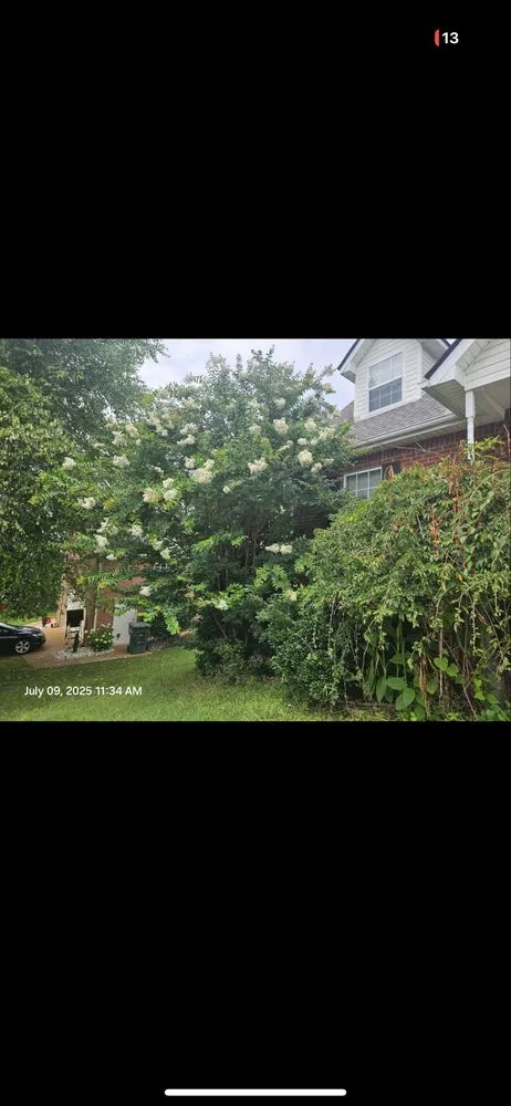 Expert lawn mowing service in Murfreesboro, TN - Dr.D's Lawn Care