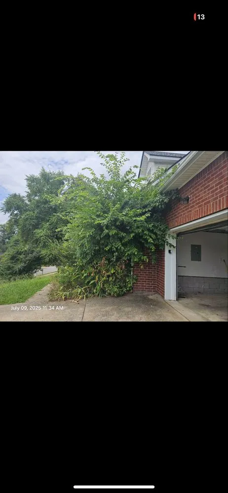 Reliable lawn mowing service for beautiful yards across Murfreesboro, TN - Dr.D's Lawn Care