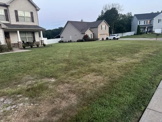 Dr.D's Lawn Care Logo