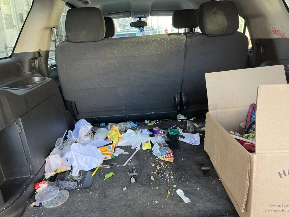 Professional lawn care service for residential properties across Lancaster, PA - Dre Does It All