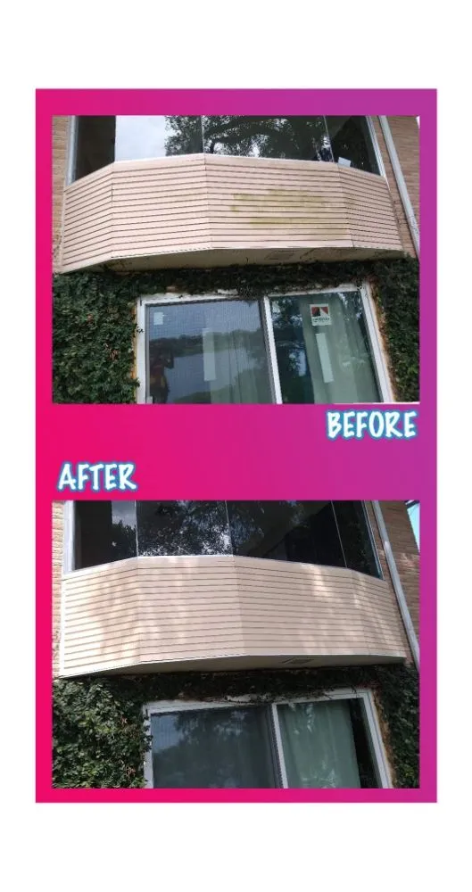 Top-rated yard cleanup service for homes across Mount Dora, FL - Dream Catchers A Home Come True