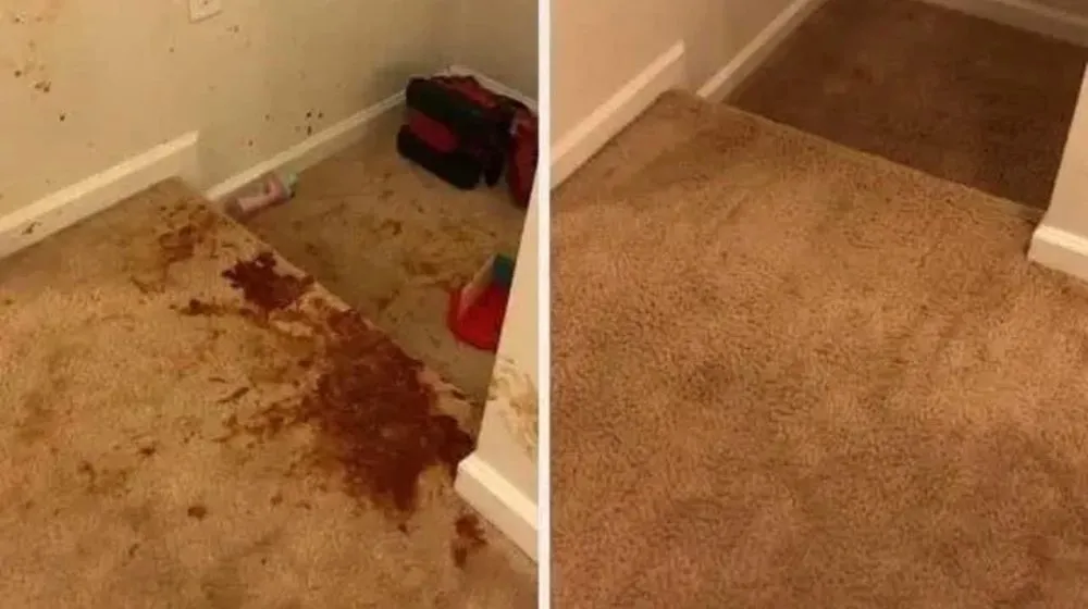 Professional residential landscaping in Morgantown, WV by Dream cleaners