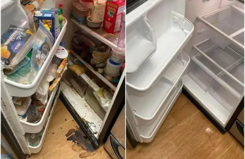 Affordable residential landscaping near you in Morgantown, WV by Dream cleaners