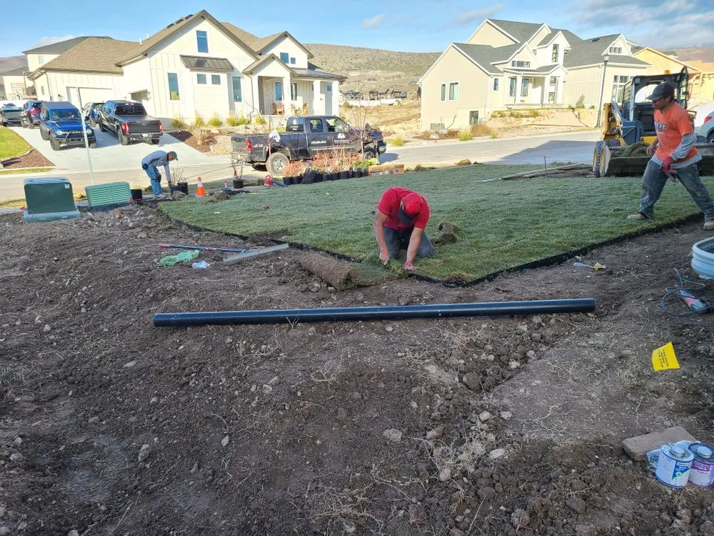 Affordable lawn care service experts serving Park City, UT - Dream Custom