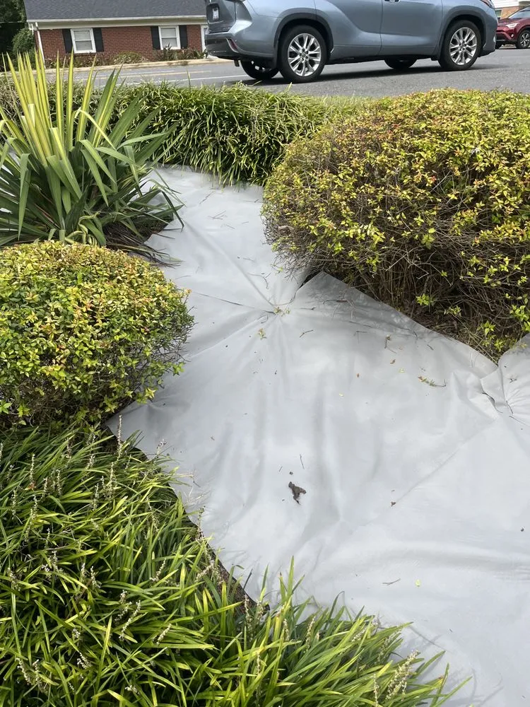 Reliable yard cleanup service experts serving Gastonia, NC - Dream Cuts Landscaping & Lawn Care