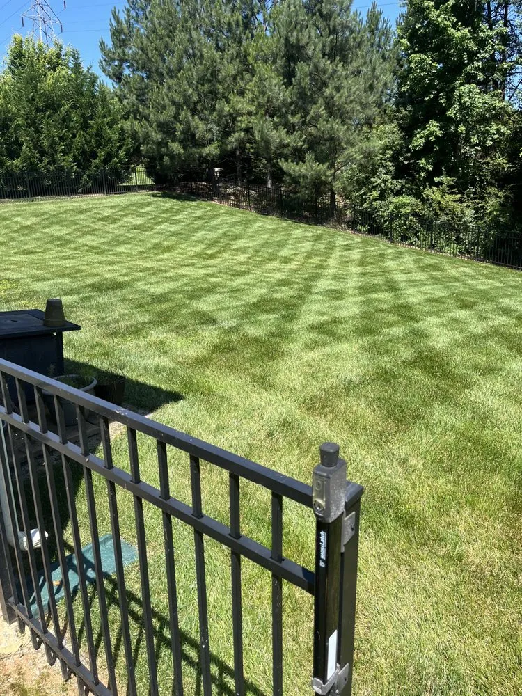 Reliable landscaping services for year-round maintenance in Gastonia, NC by Dream Cuts Landscaping & Lawn Care