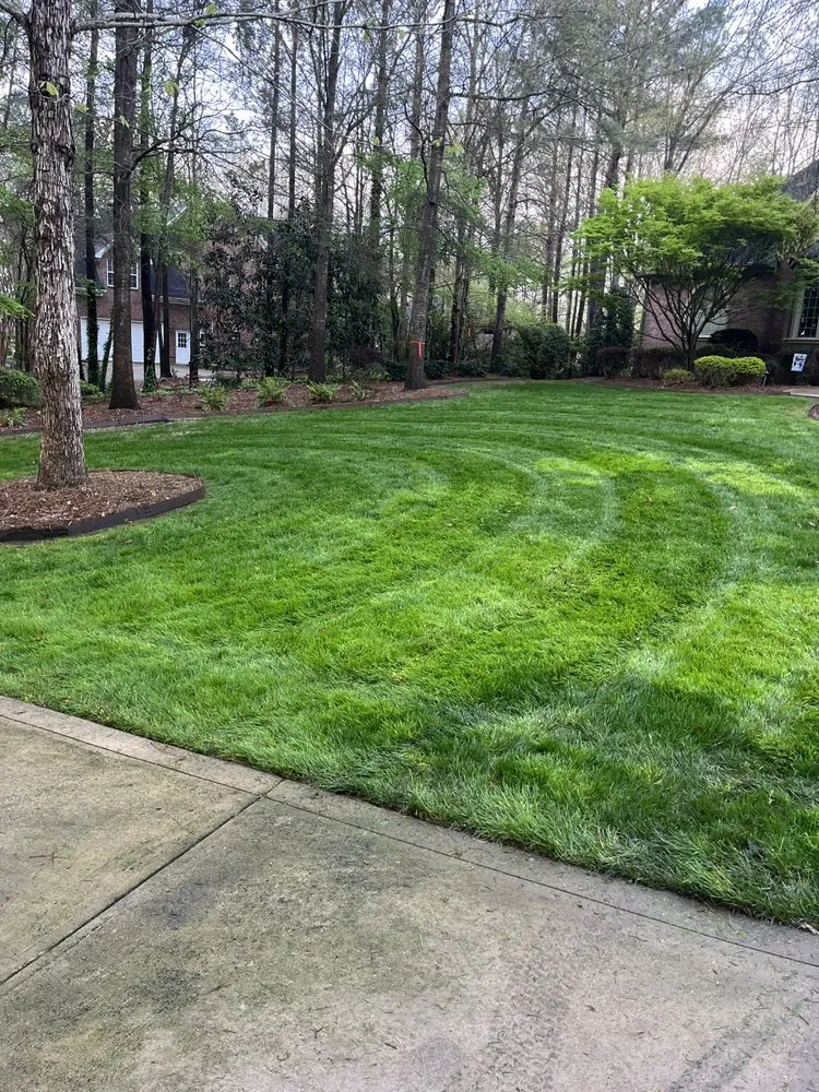 Expert landscaping services near you in Gastonia, NC by Dream Cuts Landscaping & Lawn Care
