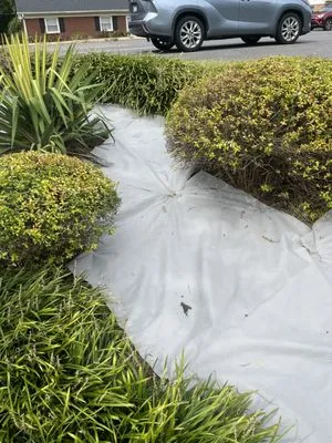 Dream Cuts Landscaping & Lawn Care Logo