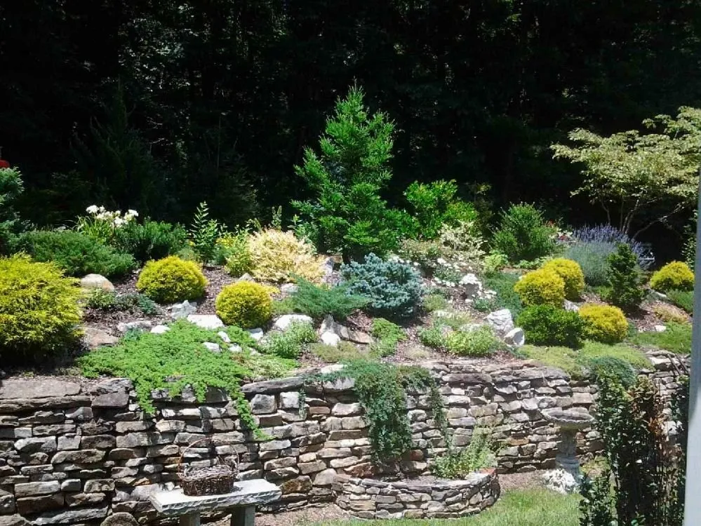 Affordable landscape installation with custom design in Marshall, NC by Dream Escapes