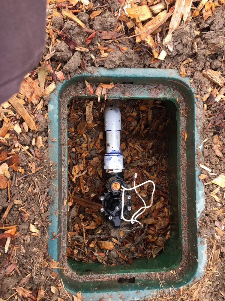 Reliable landscape installation in El cajón, CA by Dream Garden