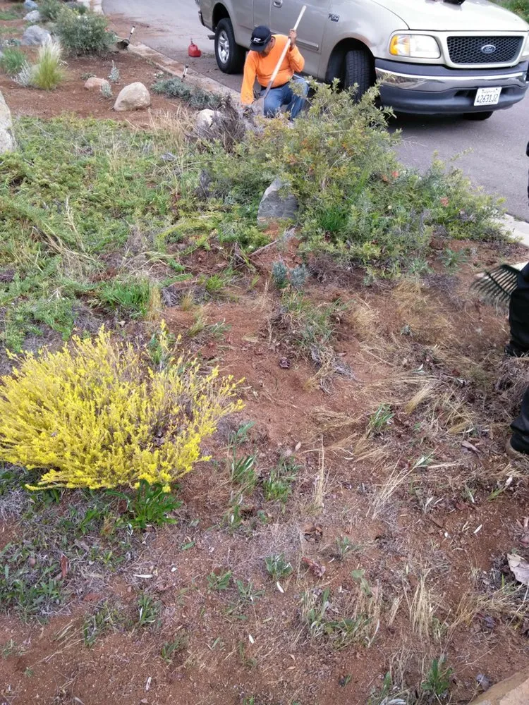 Local landscape installation for homes across El cajón, CA - Dream Garden