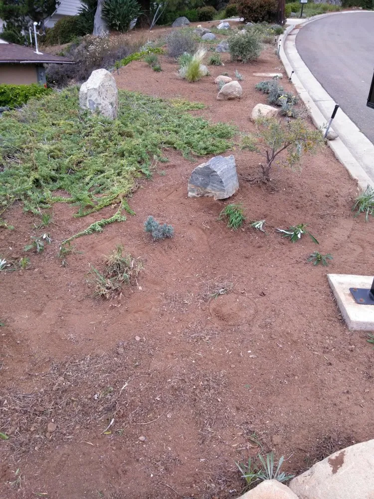 Reliable landscaping services in El cajón, CA - Dream Garden