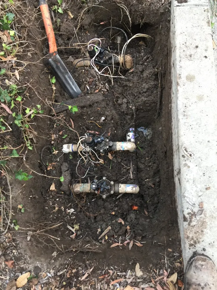 Affordable lawn mowing service in El cajón, CA by Dream Garden