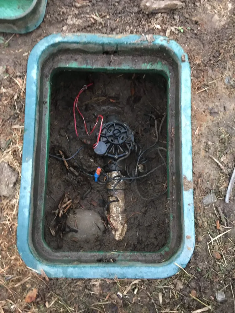 Trusted residential landscaping for homes across El cajón, CA - Dream Garden