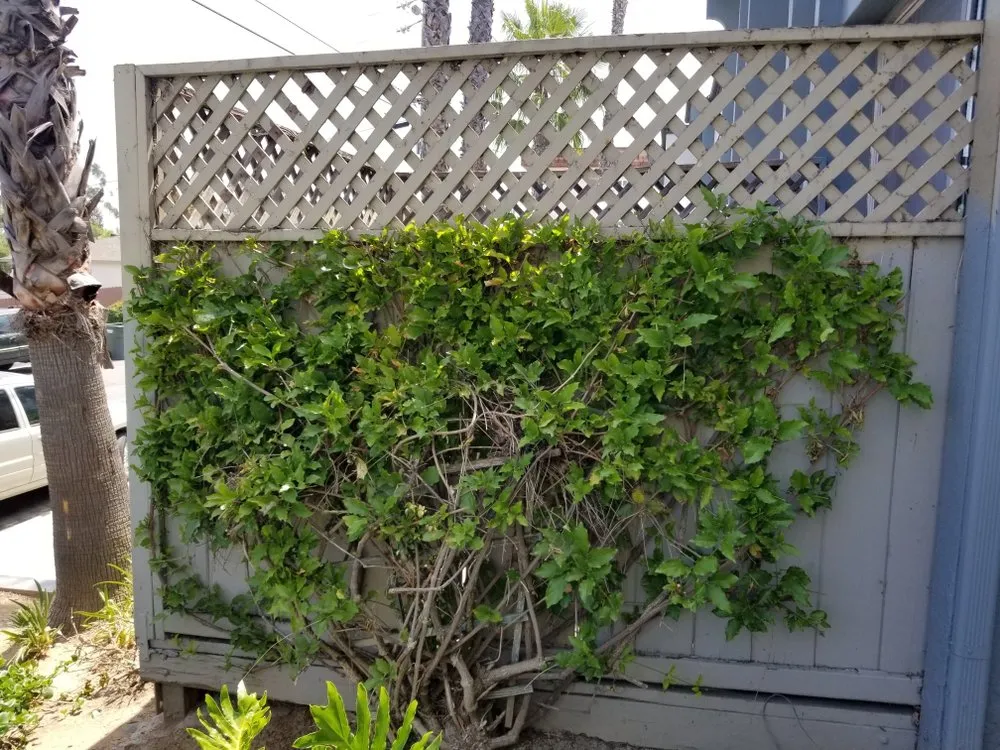 Affordable residential landscaping in El cajón, CA - Dream Garden